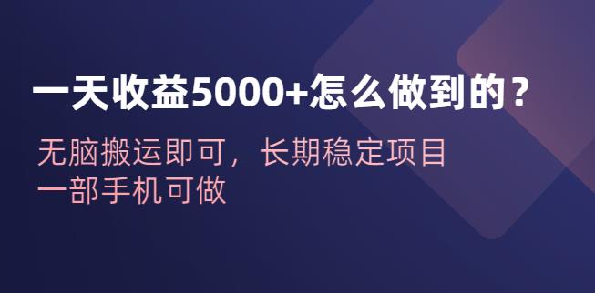 一天收益5000+怎么做到的？无脑搬运即可，长期稳定项目，一部手机可做【揭秘】