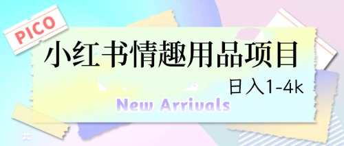 （6555期）最新小红书情趣用品项目，日入1-4k